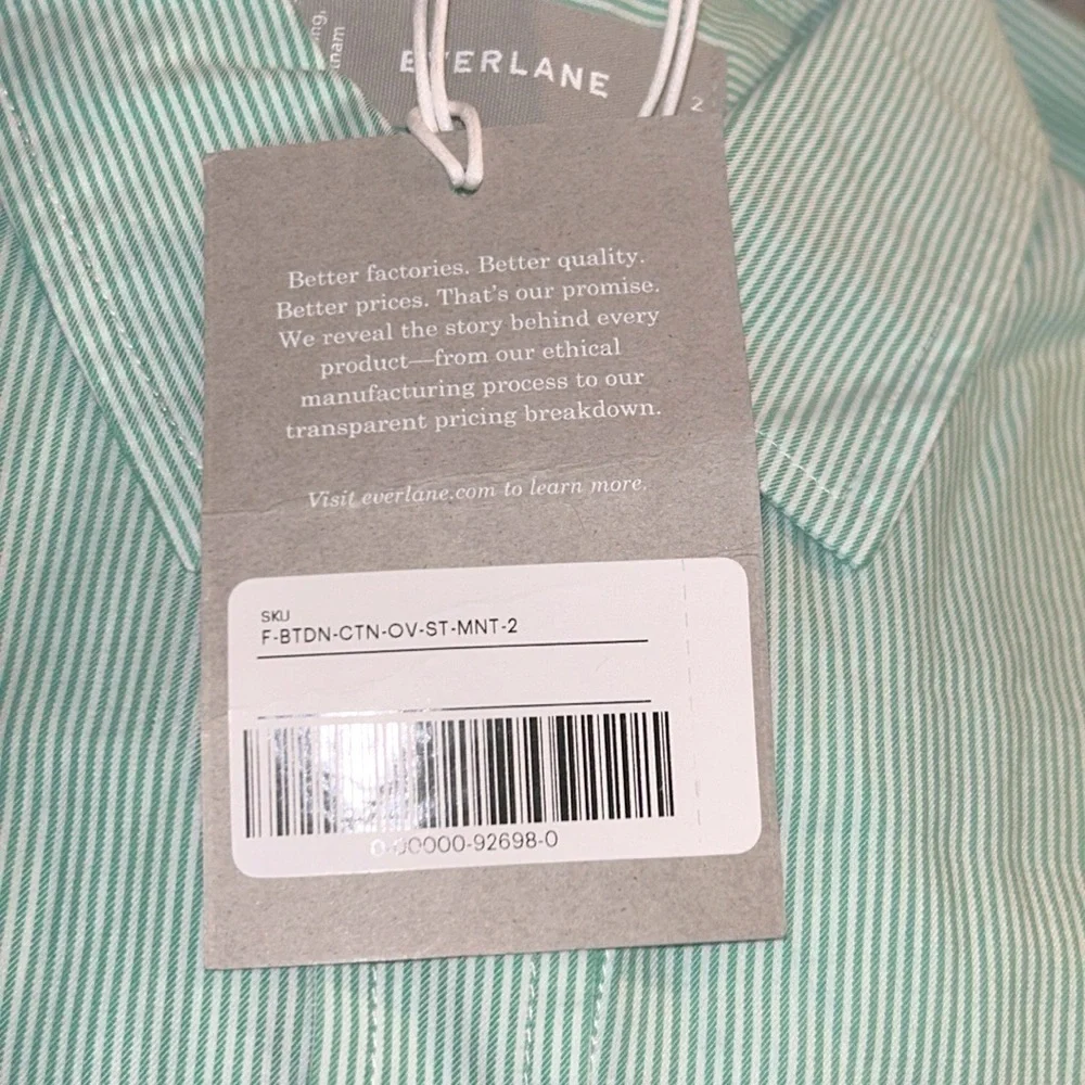 NWT Everlane The Silky Cotton Relaxed Shirt Mint Pinstripe size 2